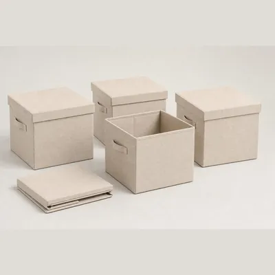 Foldable Storage Bins with Lids (Set of 4)
