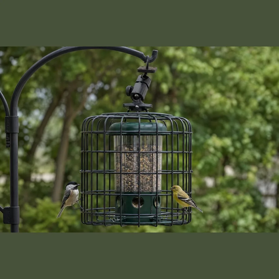 Bird Feeder with Camera Mount (Squirrel-Proof)