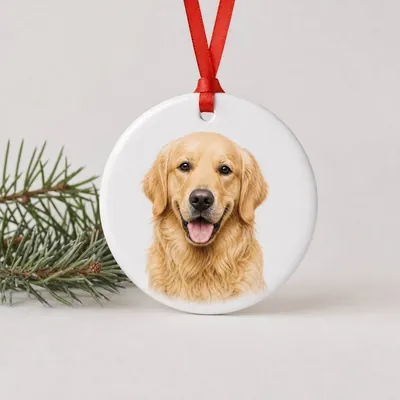 Custom Photo Ornament (Ceramic, Holiday/Year-Round)